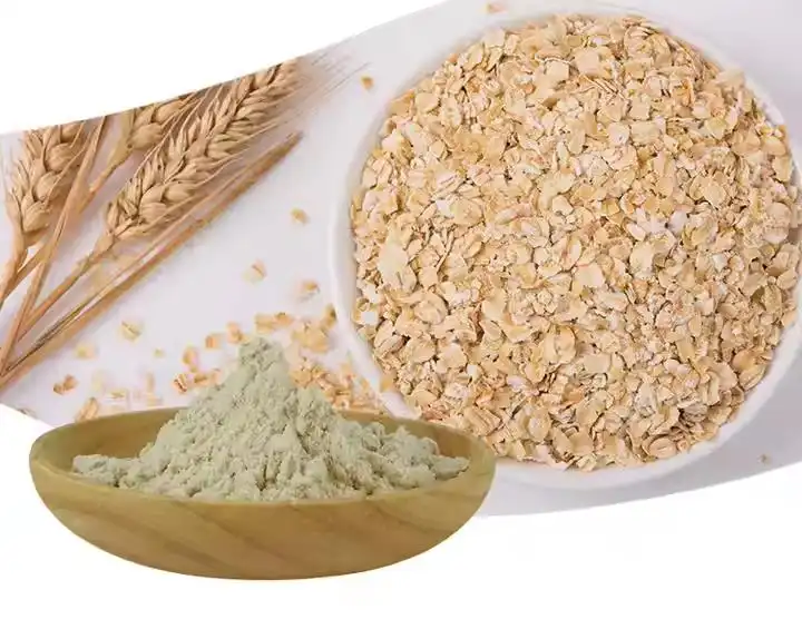 Oat Protein Powder 40%-60% Oat Protein Powder 40%-60%